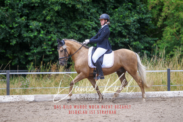 DKP47186 | Turniersportfotografie; Pferdefotografie; Dressurfotografie