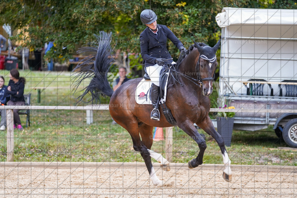 20231007-SN_00877 | Professionelle Turnier- und Reitsportfotografie - mit dem Finger am Auslöser. Pferdebilder aus dem Reitsport von den Turnierfotografen  Bayern , Pferdefotograf Bayern, Pferdeshooting Turnierbilder, Hochzeitsfotograf, Eventfotograf, Hochzeitsbilder