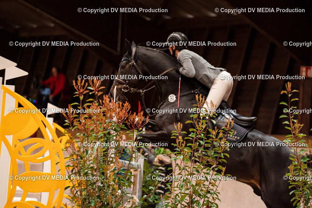 Springen Tag 1-637 | dv-media-shop - Realisiert mit Pictrs.com