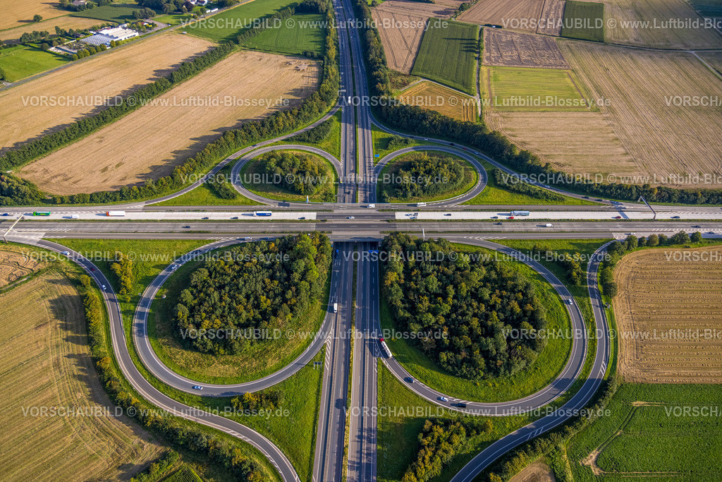 Werl230806997 | Luftbild, Autobahnkreuz Werl, Autobahn A44 und Autobahn A445, Werl, Werl-Unnaer Börde, Nordrhein-Westfalen, Deutschland