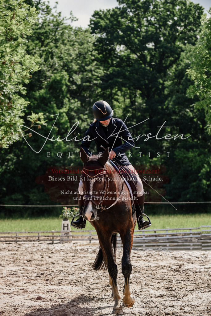 DSC_0140 | Pferde- und Turnierfotografie in Westsachsen. Pferdeportraits, Auftragszeichnungen und intuitive Kunst.