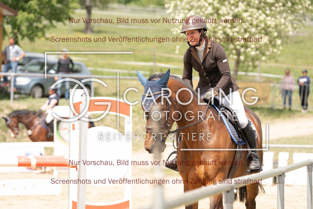 DSC06776 | Springturnier_Ehingen_Mai_2026, Sonja_Häuselmann, Riscadia