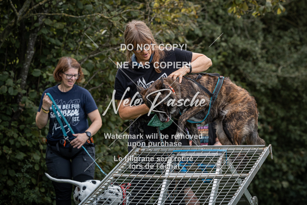 nelerasche_SoLauf_24 | nelerasche
