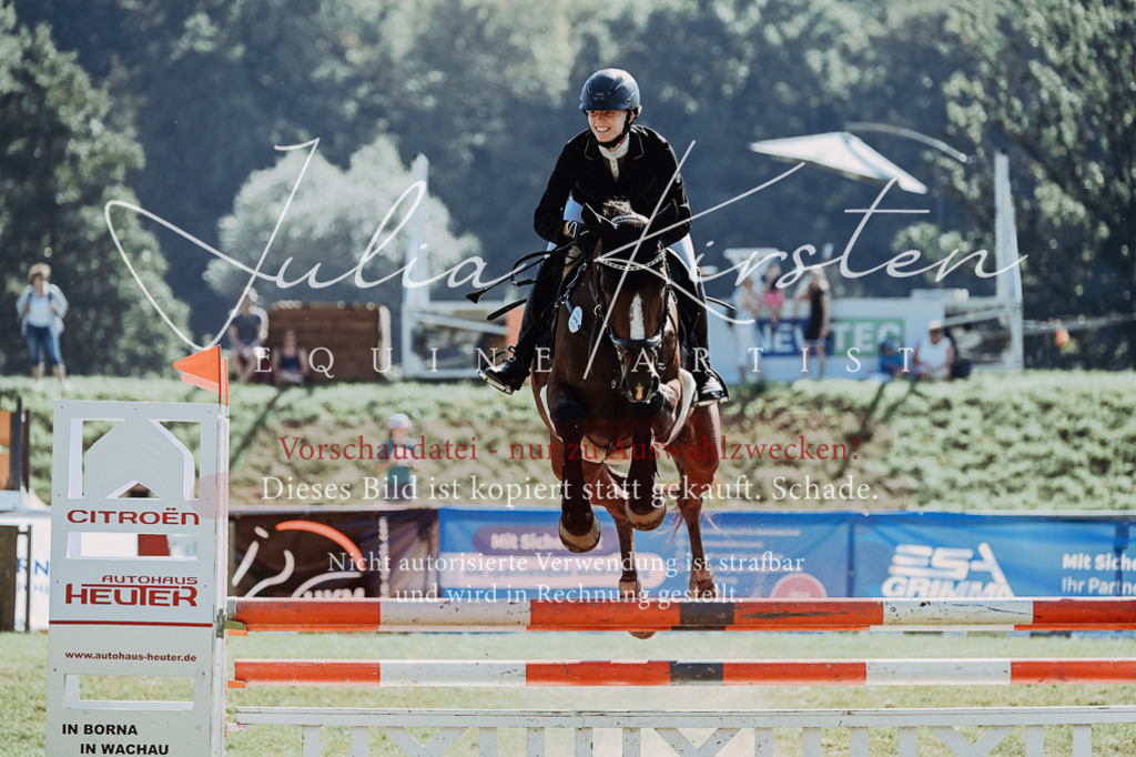 DSC_5831 | Pferde- und Turnierfotografie in Westsachsen. Pferdeportraits, Auftragszeichnungen und intuitive Kunst.