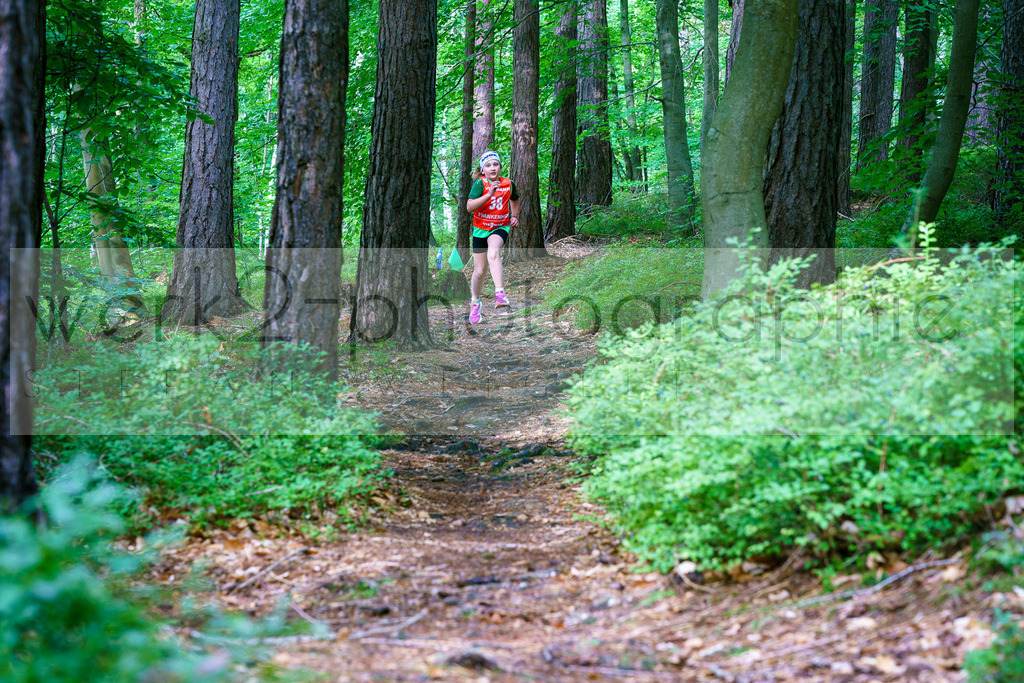 Rolf-Schumann-Gedächtnislauf | Frankenhain, 30.08.2025