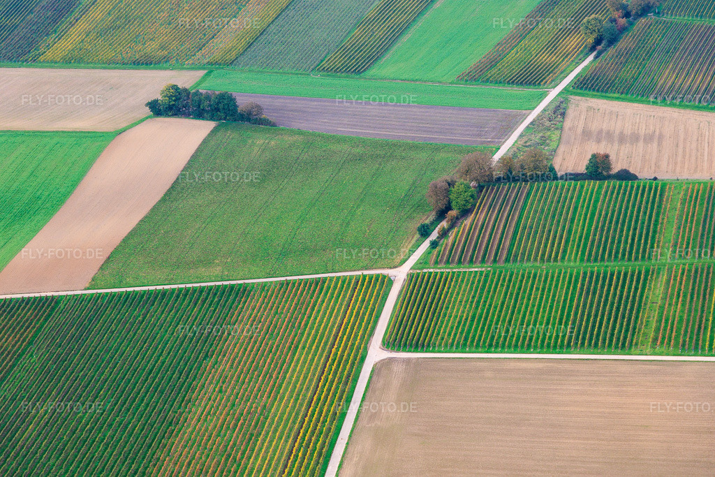 Luftbild: Felder und Weinberge im Tiefen Tal im Ortsteil Mühlhofen in Billigheim-Ingenheim im Bundesland Rheinland-Pfalz in Deutschland. Foto: IMG_150106.jpg vom 11.10.2025 durch Werner Riehm/FLY-FOTO.de