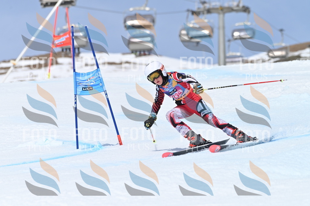 BGV_3379 | holidayphoto