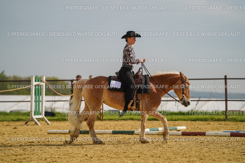 DSC01712 | Pferdegrafie