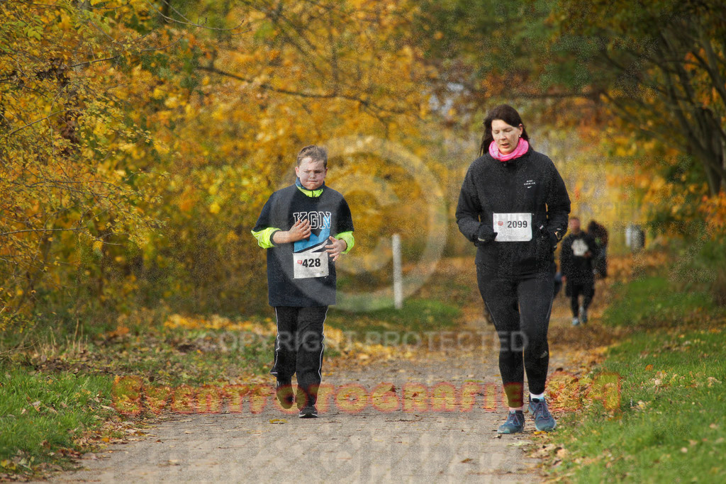 221127_1052_EV4_2336 | Sportfotografie im Rhein-Sieg Kreis, Köln, Bonn, NRW, Rheinland Pfalz, Hessen, etc. Unser Tätigkeitsfeld umfasst den Laufsport vom Volkslauf über den Marathon, Duathlon, Triathon bis zum Ultralauf wie Kölnpfad Ultra oder Schindertrail.