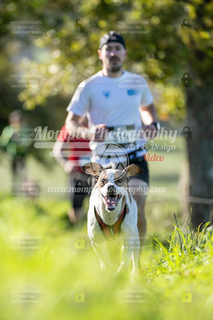 MompixPhotography_20TSB_E3_Run-223 | PayLife