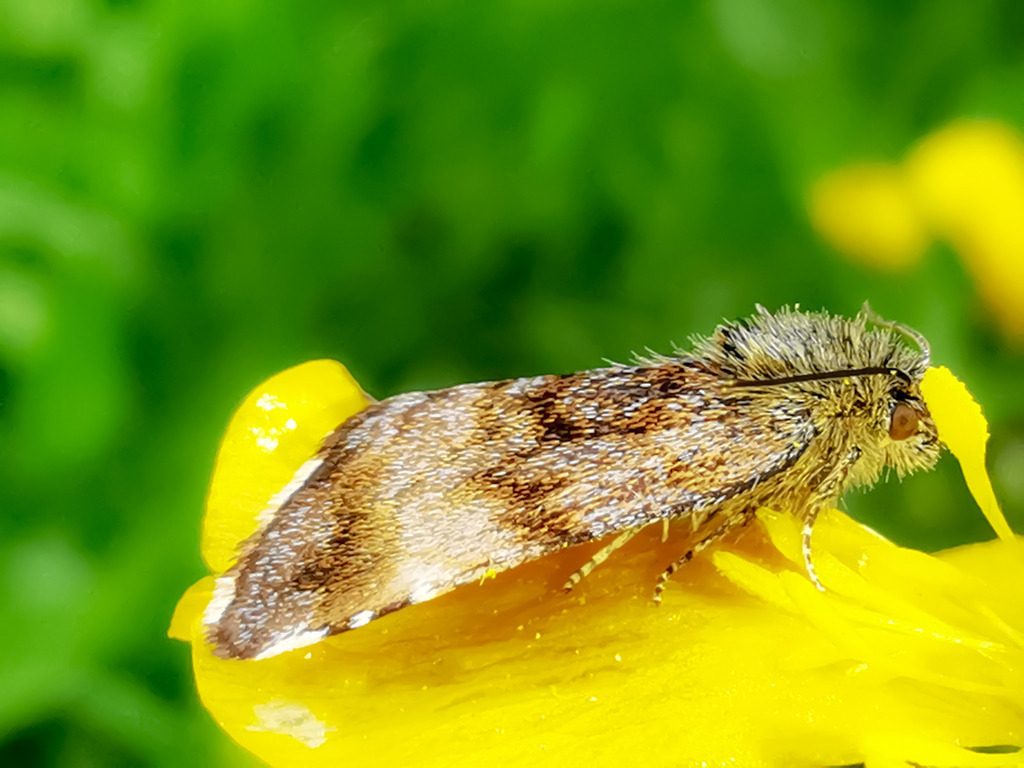 PSX_20230519_230714 | mtkfoto_ - Realisiert mit Pictrs.com