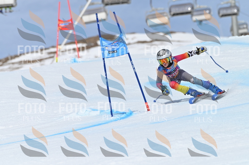 BGV_1299 | holidayphoto