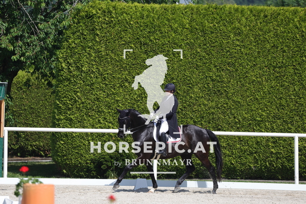 0P6A2958 | Willkommen bei Brunnmayr - Design & Fotografie – Ihrem Spezialisten für Reitturniere und Pferdeveranstaltungen in Oberösterreich, Salzburg und Bayern! Seit über 17 Jahren sind wir leidenschaftlich dabei.