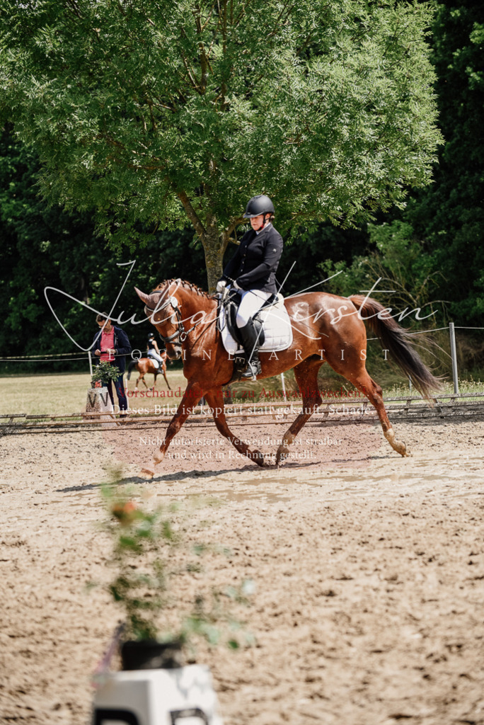 DSC_1312 | Pferde- und Turnierfotografie in Westsachsen. Pferdeportraits, Auftragszeichnungen und intuitive Kunst.