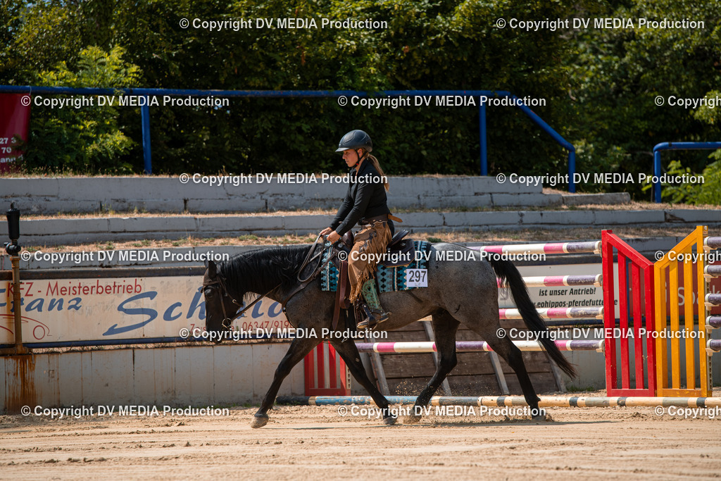 ZS2_8245 | dv-media-shop - Realisiert mit Pictrs.com