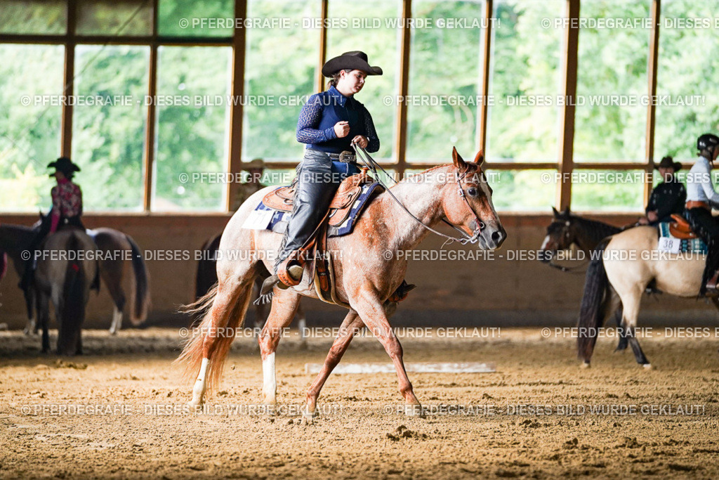 DSC05333 | Pferdegrafie