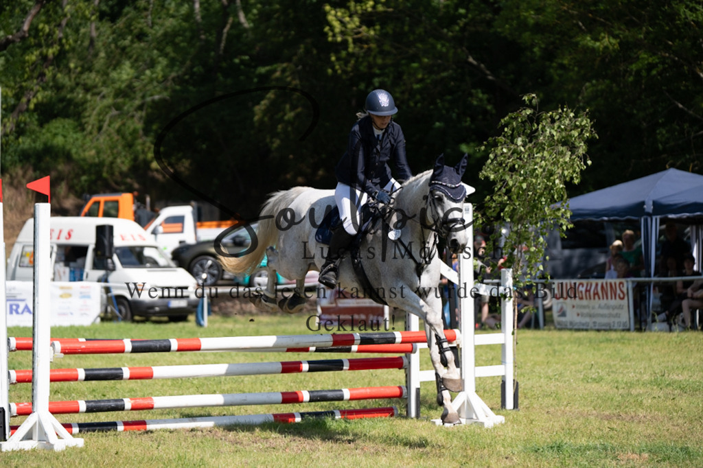 A7V05562 | Pferdefotograf