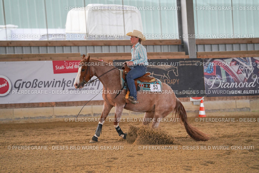 DSC08668 | Pferdegrafie