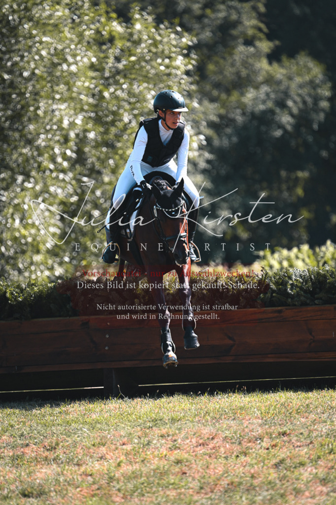 DSC_8270 | Pferde- und Turnierfotografie in Westsachsen. Pferdeportraits, Auftragszeichnungen und intuitive Kunst.