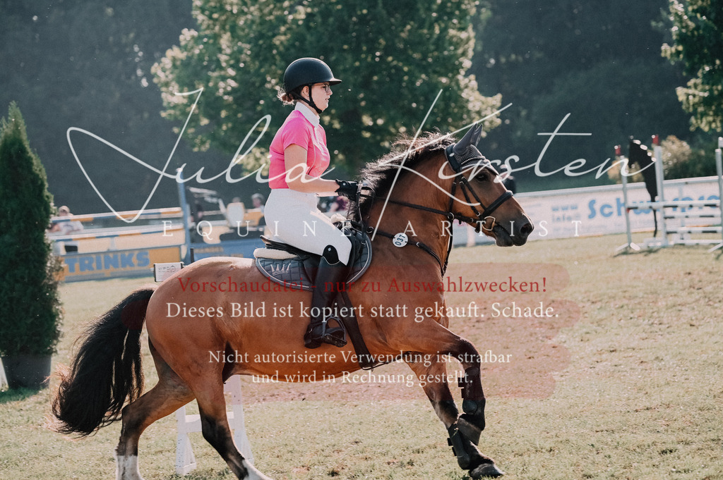 DSC_4579 | Pferde- und Turnierfotografie in Westsachsen. Pferdeportraits, Auftragszeichnungen und intuitive Kunst.