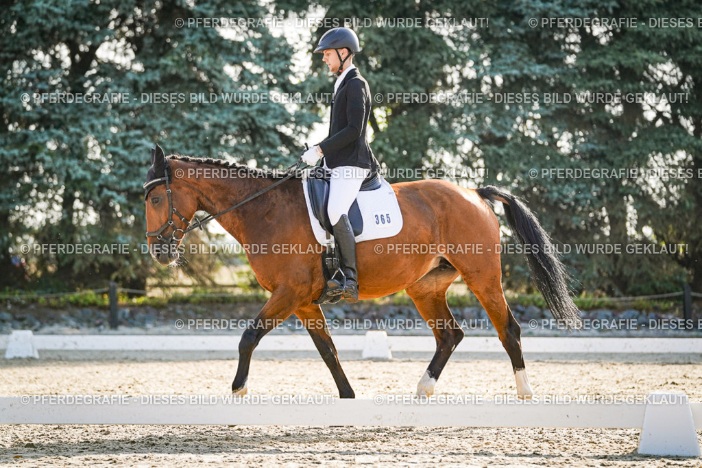 DSC08404 | Pferdegrafie