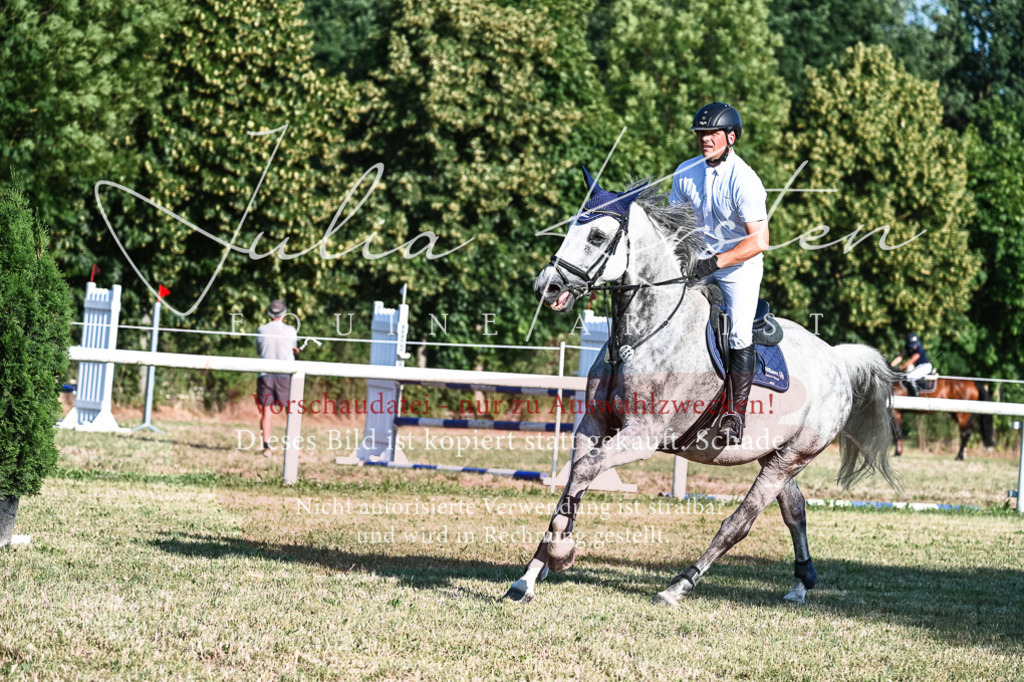 DSC_2802 | Pferde- und Turnierfotografie in Westsachsen. Pferdeportraits, Auftragszeichnungen und intuitive Kunst.