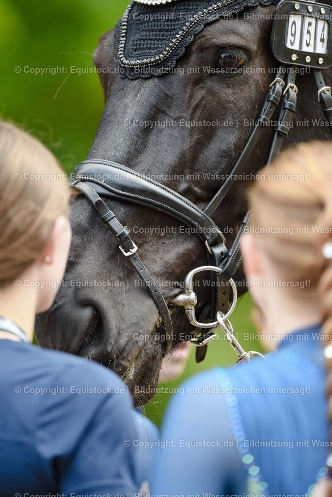 20250608_CVI-Masterclass_1037 | Foto: Thomas Hartig