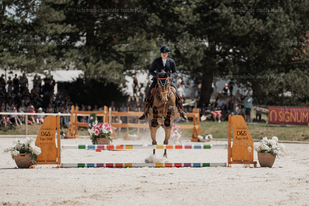 WE_SP_Stoib_329_PI2025_2024 | Pferd International München 2025