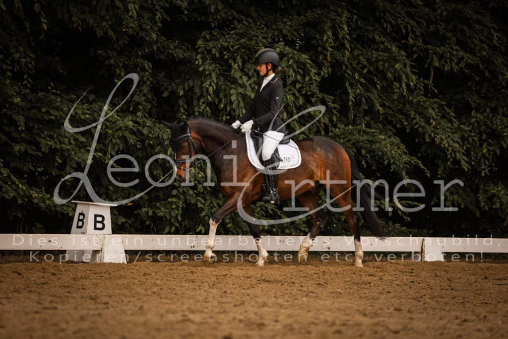 DoDrA00478 | Leoni Ertmer Photography - Realisiert mit Pictrs.com