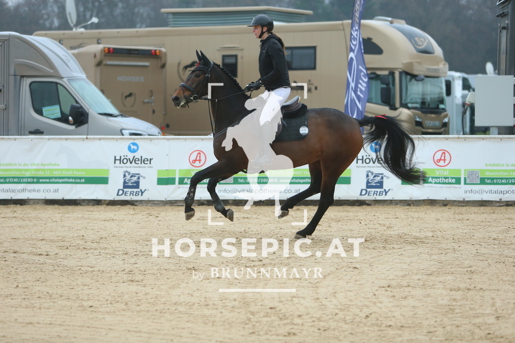 DL2Q7713 | Willkommen bei Brunnmayr - Design & Fotografie – Ihrem Spezialisten für Reitturniere und Pferdeveranstaltungen in Oberösterreich, Salzburg und Bayern! Seit über 17 Jahren sind wir leidenschaftlich dabei.