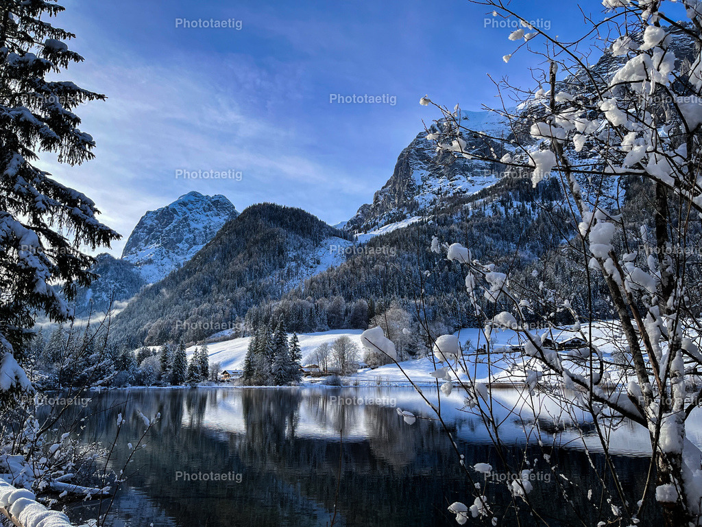 IMG_6379 | phototaetig