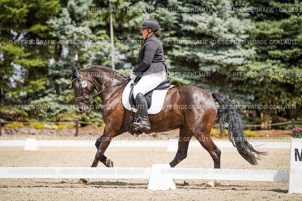 DSC02814 | Pferdegrafie