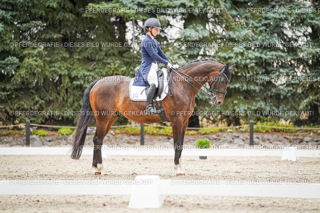 DSC07922 | Pferdegrafie