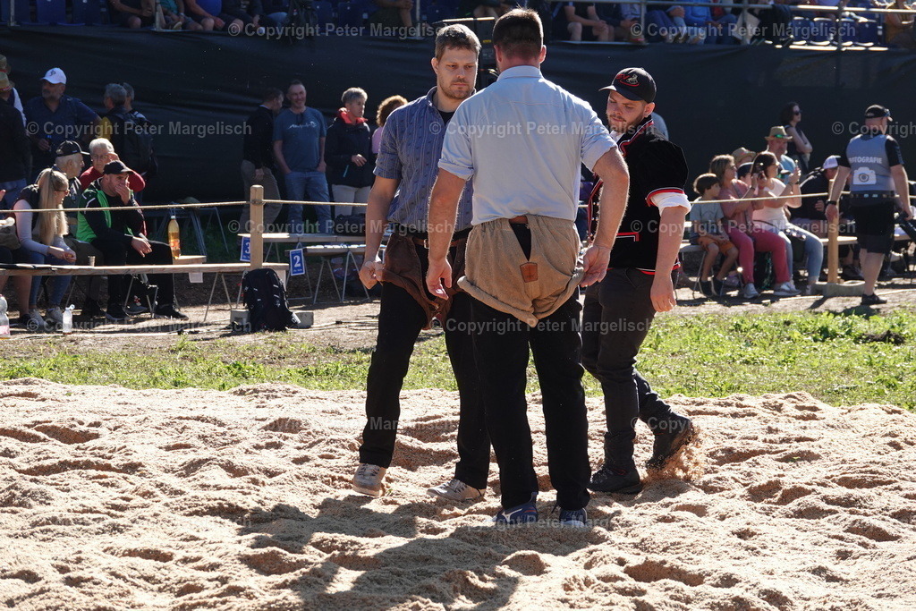 DSC01615 | Schwingen - Realisiert mit Pictrs.com