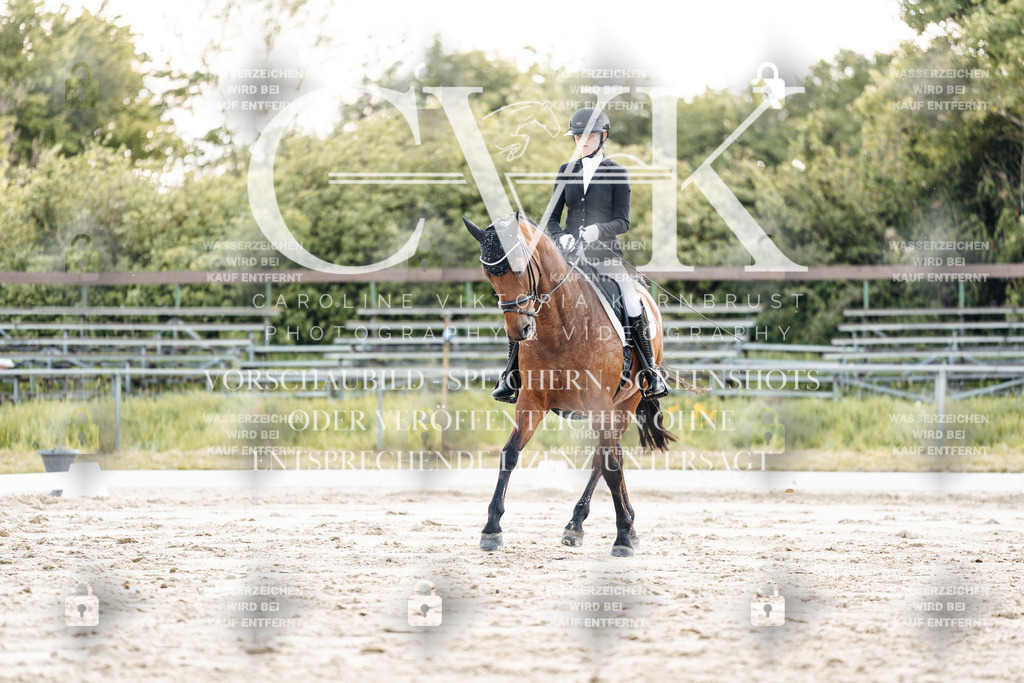 CK909621 | Turnierfotografie Pferdefotografie Trier Rheinland-Pfalz Pferdesport Reitsport Tierfotografie Sportfotografie Pferdevideo Pferdevideografie Equestrianvideography equestrianphotography  - Realisiert mit Pictrs.com