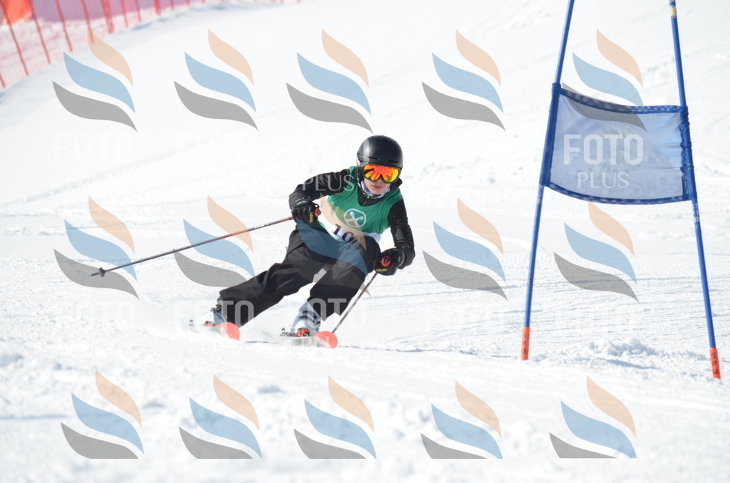 D9161 | holidayphoto