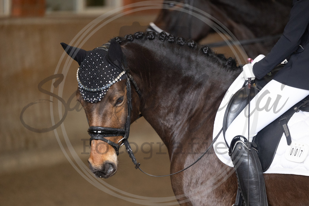 994A9032 | sabrinanicolaifotografie - Realisiert mit Pictrs.com