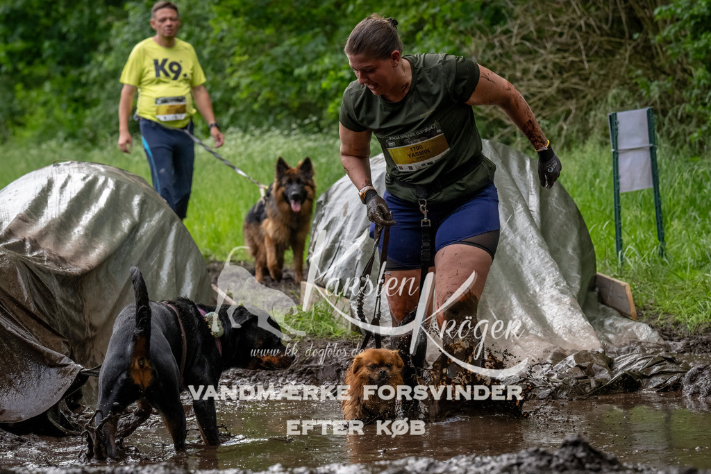 1511_ZZ92238-Bearbeitet | kk-dogfotos