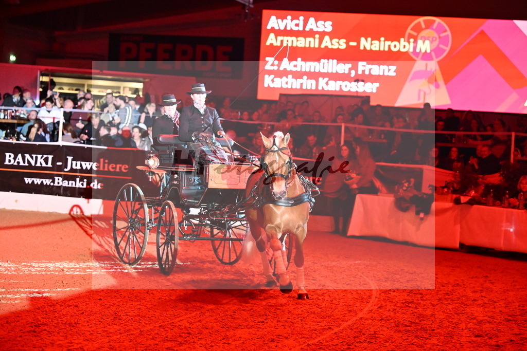 DSP_Avici_As_Karosser_2254538 | hf-fotografie - Realisiert mit Pictrs.com