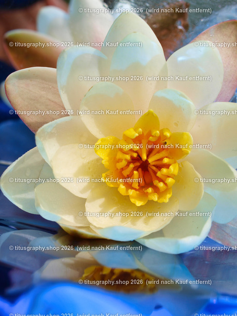 titusgraphy_P6217351-vz-ln | titusgraphy-shop: Geschenkideen mit Qualitätsfotos. titusgraphy-shop: gift ideas with quality photos. titusgraphy-shop: idées cadeaux avec photos de qualité.  - Realisiert mit Pictrs.com