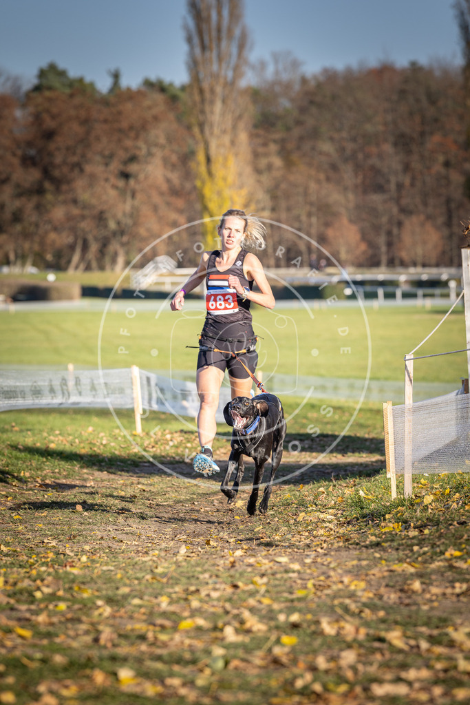 CaniXpix_DV3A1122 | Hundefotografie, Tierfotograf, Pfotenfotografie, Fotoshooting Hund, Hunde Portrait, Hundesport, Hundeportraits, Heideshooting, Hunde, Sportfotograf, Hundefotograf, Turnierhundsport, THS,  - Realisiert mit Pictrs.com