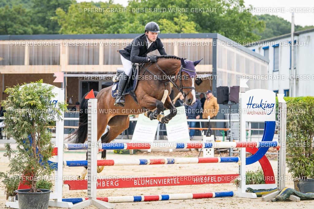 DSC09347 | Pferdegrafie