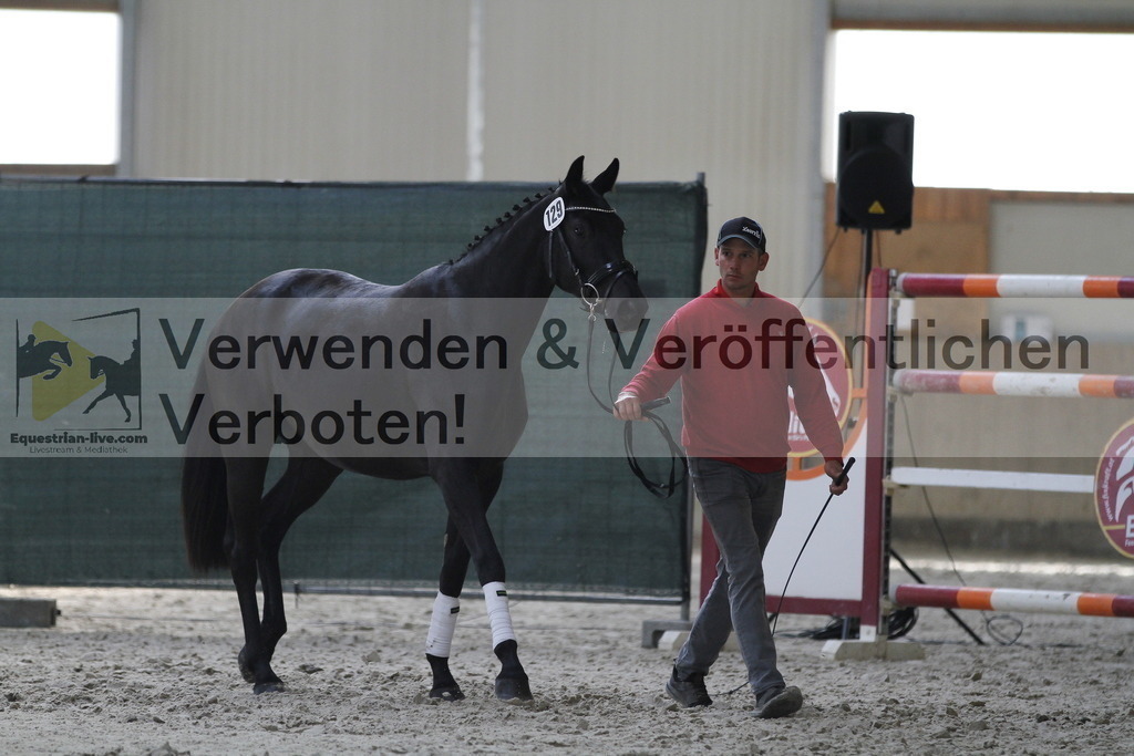 _MG_9878 | equestrian-live-com