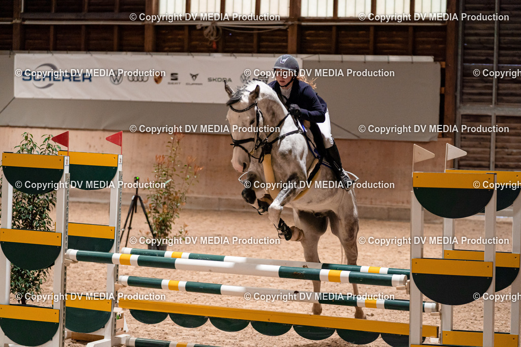 Springen Tag 1-136 | dv-media-shop - Realisiert mit Pictrs.com