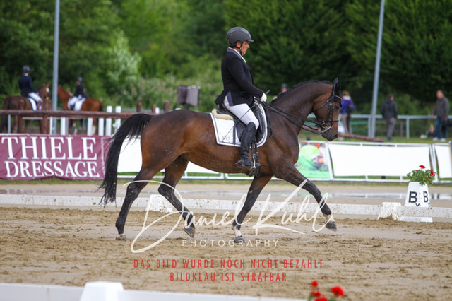 DKP40794 | Turniersportfotografie; Pferdefotografie; Dressurfotografie