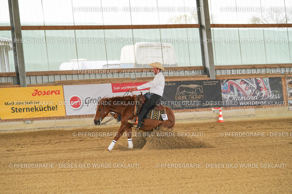 DSC07698 | Pferdegrafie