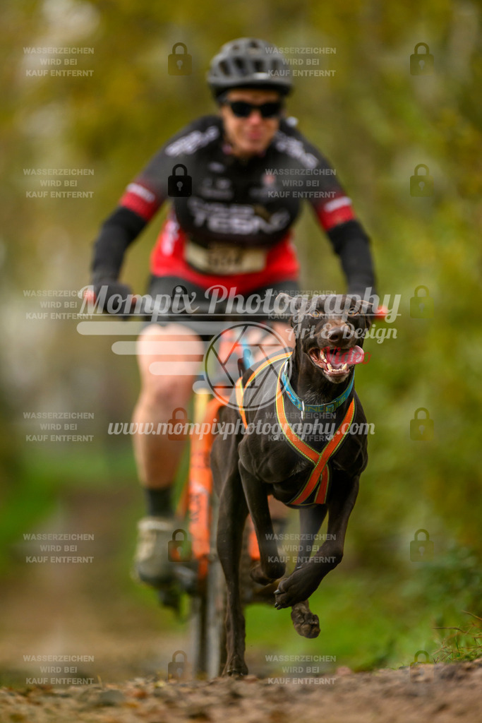 MompixPhotography_20TSB_E6_Bike-66 | PayLife