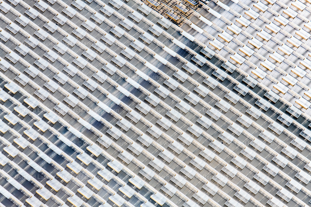 3806227 | Jungpflanzen Gernert, Albertshofen