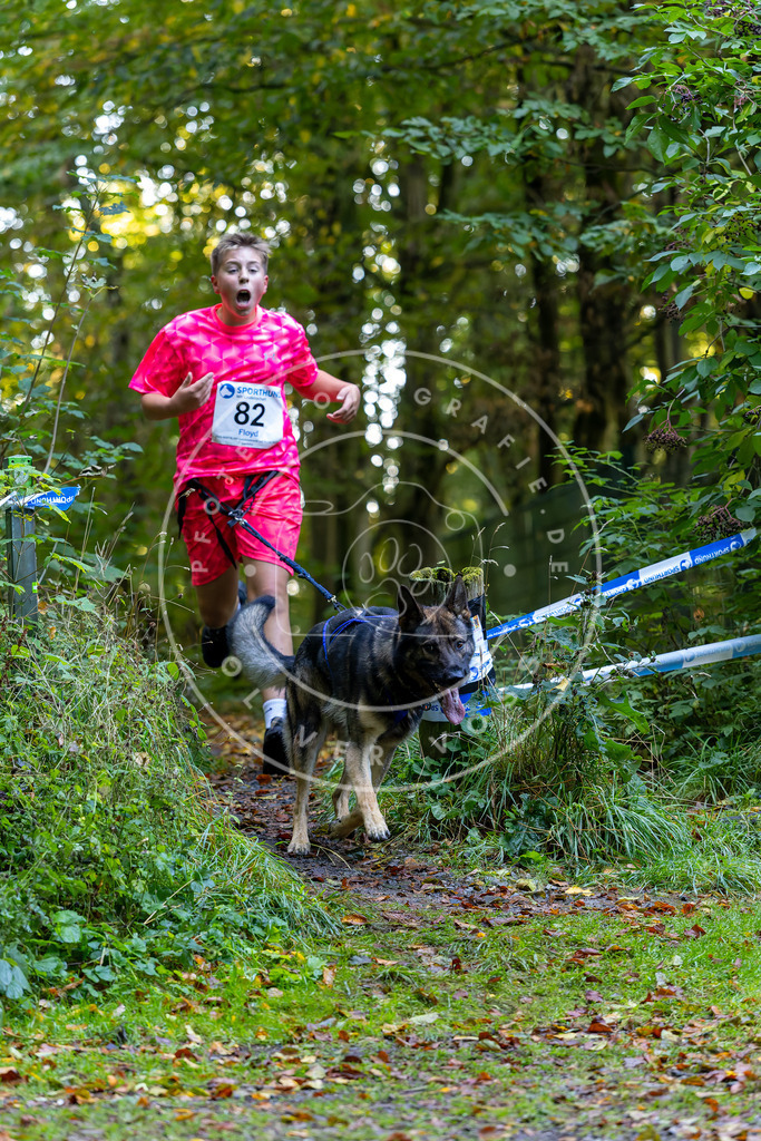 Pfotenfotografie_DV3A7571 | Hundefotografie, Tierfotograf, Pfotenfotografie, Fotoshooting Hund, Hunde Portrait, Hundesport, Hundeportraits, Heideshooting, Hunde, Sportfotograf, Hundefotograf, Turnierhundsport, THS,  - Realisiert mit Pictrs.com