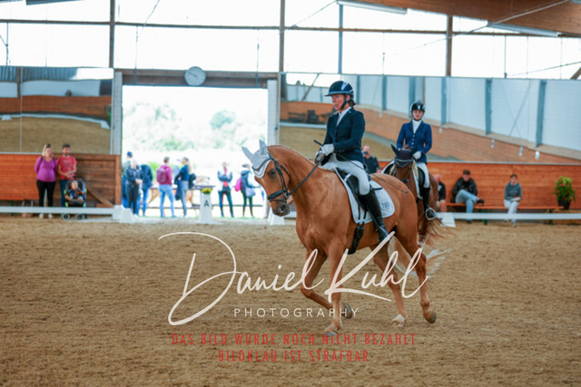 _62_5896 | Turniersportfotografie; Pferdefotografie; Dressurfotografie